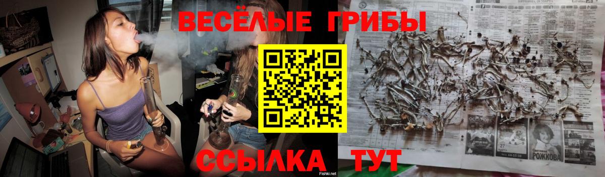 Фрязино  Псилоцибиновые грибы мицелий  Вход с VPN 