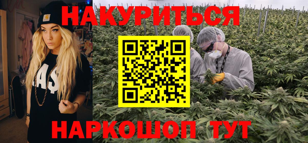 Каннабис гибрид Фрязино